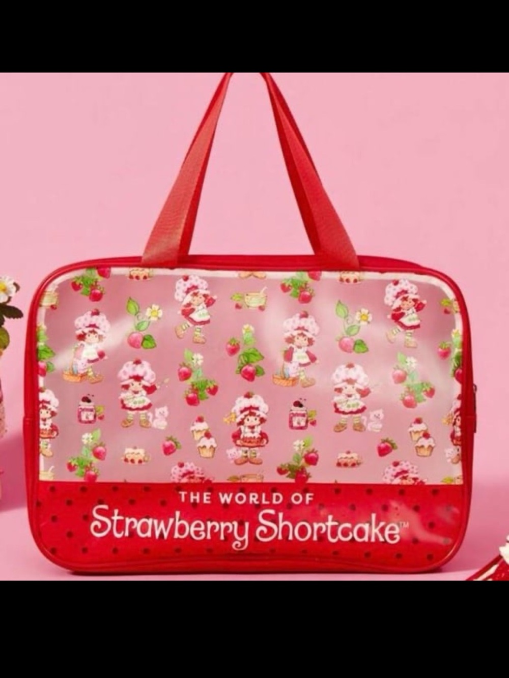 Strawberry Shortcake Licensed Travel Toiletry Bag, Makeup, Cosmetics, NEW, NWT